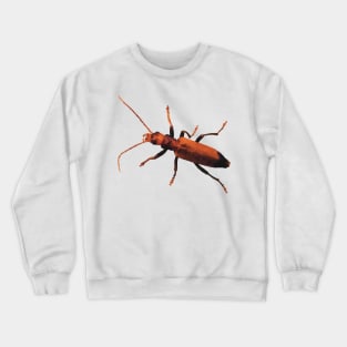 Orange Beetle Wharf Borer Crewneck Sweatshirt